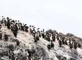 Foto: Tierra del Fuego. Gateway to the Icy Continent